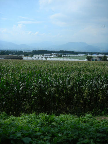 DSCN2251.JPG