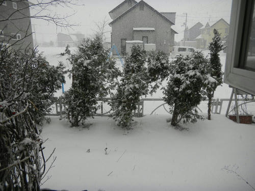 DSCN2854.JPG