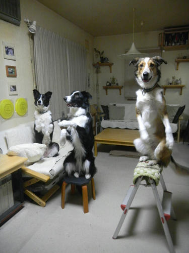 DSCN2858.JPG