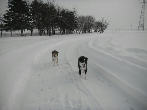 DSCN3007.JPG
