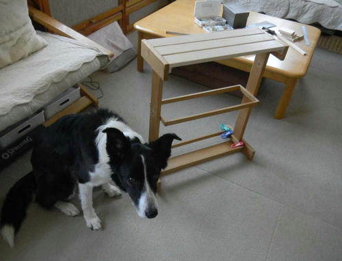 DSCN3039.JPG