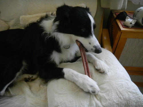 DSCN3096.JPG