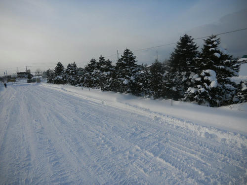 DSCN3131.JPG