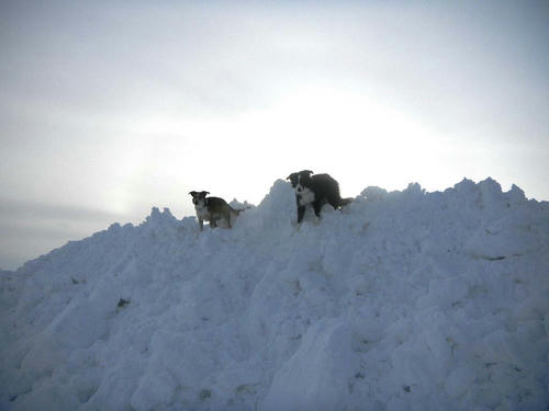 DSCN3116.jpg