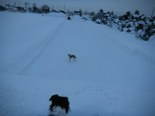 DSCN3303.JPG