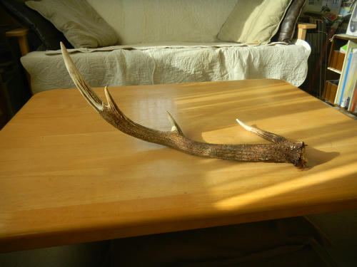 DSCN3339.JPG
