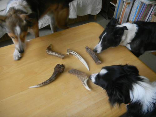 DSCN3343.JPG