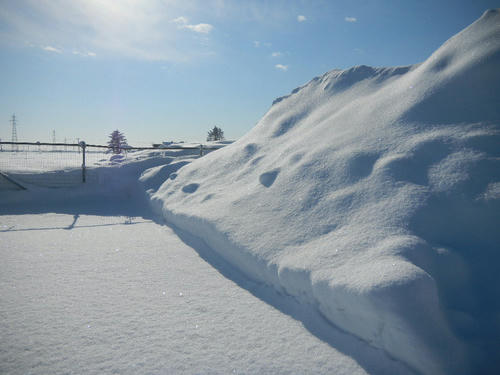DSCN3350.JPG