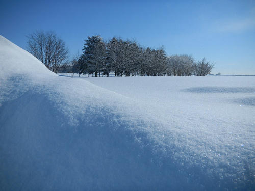 DSCN3370.JPG