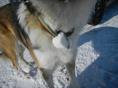 DSCN3360.JPG