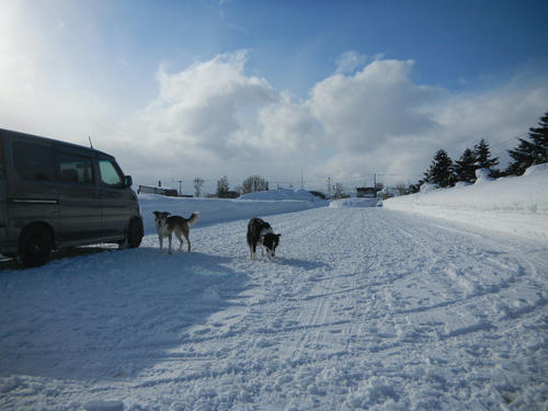DSCN3435.JPG