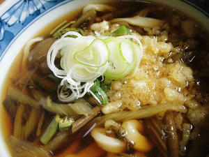 山菜たっぷり