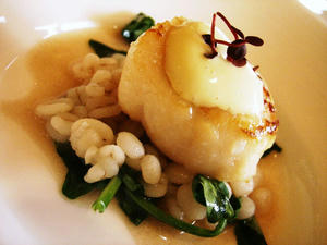 帆立とはとむぎ