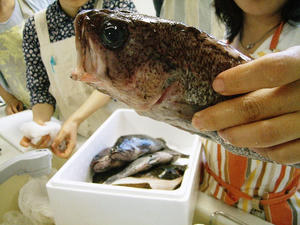 感激