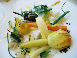 ２０種類の野菜の取り合わせ