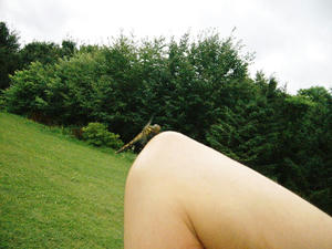 とんぼ。