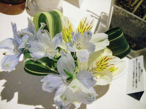 お花を撮る練習。