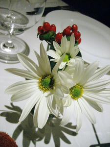 2008集大成。