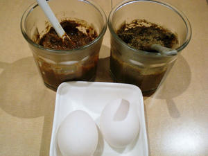 普通とえび