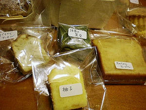 ちゃた標本。
