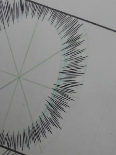090127_2336~01.jpg