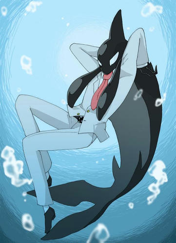 sakamata.jpg