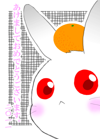1262840778.gif