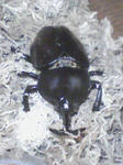 PA0_0020.JPG