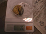 HPNX0107.JPG