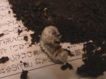 HPNX0110.JPG