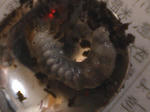 HPNX0112.JPG