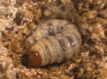 HPNX0125.JPG