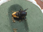 HPNX0234.JPG