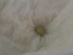 HPNX0324.JPG