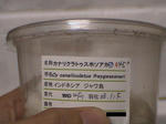 HPNX0334.JPG