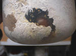 HPNX0395.JPG