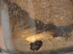HPNX0441.JPG