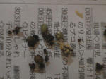 HPNX0448.JPG