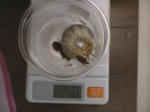 HPNX0475.JPG