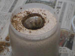 HPNX0479.JPG