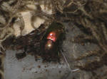 HPNX0572.JPG