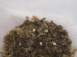 HPNX0578.JPG