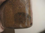 HPNX0607.JPG