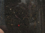 HPNX0643.JPG