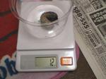 HPNX0678.JPG