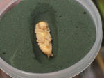 HPNX0770.JPG