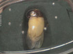 HPNX0765.JPG