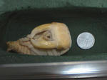 HPNX0891.JPG