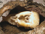 HPNX0883.JPG