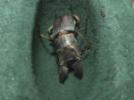HPNX0933.JPG